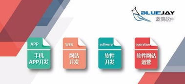 昆明軟件開發(fā)與App開發(fā) 專業(yè)技術驅(qū)動的創(chuàng)新之道